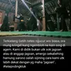 tarung gulung