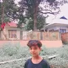 dewir184