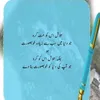 bhuttashab01