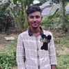hasibhossain651