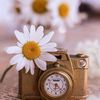 fatimairfan109