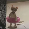 itsmeurlve