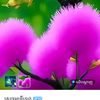 user1631303925636