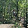 mr_tree_hugger