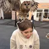pipidastrik3