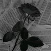 jkr_208