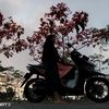 f4rha_ana