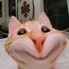 hakuna2649