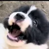 khangbinguuuu