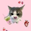 anushrii_gautam02