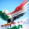 moaz.ahmed635