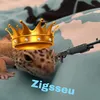 zigsseu