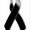 nery.nery12