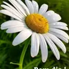 user36024354256215