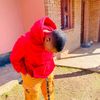 mvikweni_atach