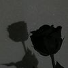 saabdullayev6