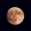 autumn_prescher2025