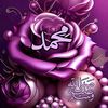 user5253217824598