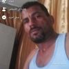 zinsikaelkory8