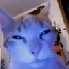 _lenard_20