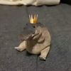 toyjaque