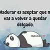 nachitoveloz4
