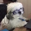 melwalnuts