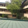 susanroxas8