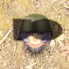 random_user_738965