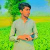 yasirdogar781