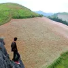 pihajang
