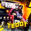 teddy28.01