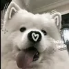 thhnhv4