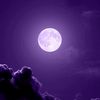 stiven_52eo