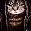 omenzik