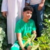 abdulhamidfarag12