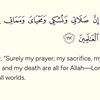 abdumohammed001