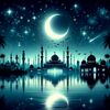 omarnasr828