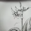 drmymy46
