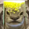 minhcl06