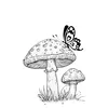 hoa.co.doc_1104
