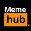 memehub79013