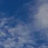 mrgjsgsls