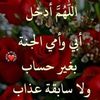 user7445742486977
