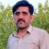 maher.atta.fareed