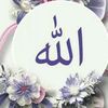 user7949131492049