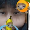dapdodaidevuong