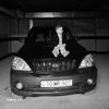 david_cavid