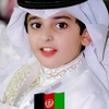 ahmad.shah7902