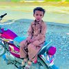 amirzamurani